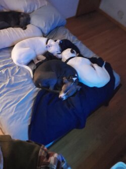 20221106_025457.jpg