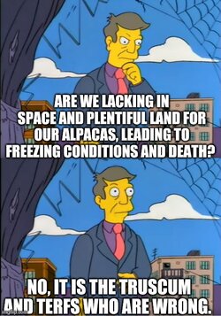4xkt2f.jpg