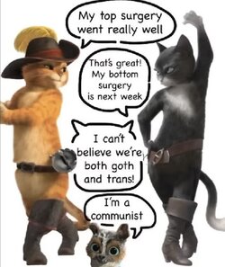 FpZ1q3FXoAUzOuS.jpg