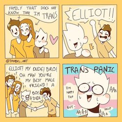 trans-memes-photo-dump-v0-xib22l4q079a1.jpg
