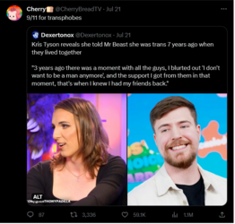 Screenshot 2023-07-24 at 13-33-26 Tweets liked by Kris (@kristyson_) _ Twitter.png