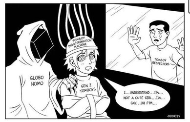 tomboy erasure.jpg