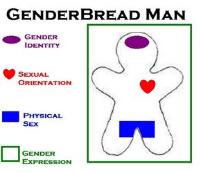 genderbread-man.jpeg