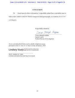 james-meek-affidavit-page-015.jpg
