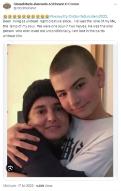 1690395281024.png