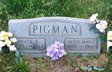 pigmin.jpg