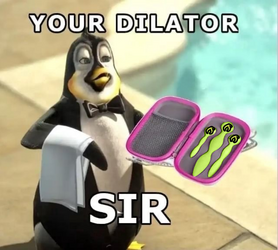 kfdilator.png