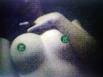 2269720_gh9xhfm3e4n4j67.png