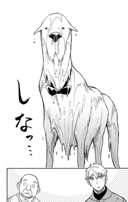 Kindle_jb9LklfNWW.png