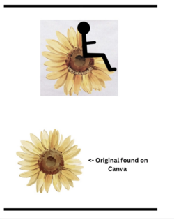 wr_09.png