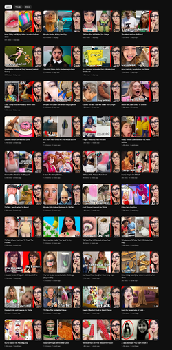 SSSniperWolf.png