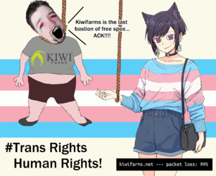 1690673994323891.gif