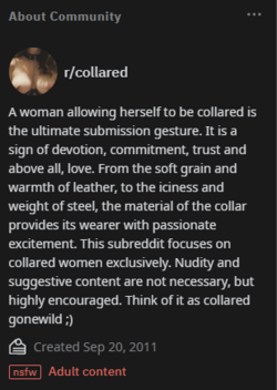 Screenshot 2023-08-01 001609.png