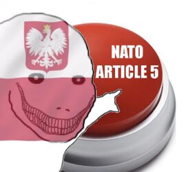 b54.jpg