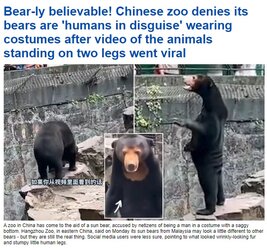 chinabear.jpg