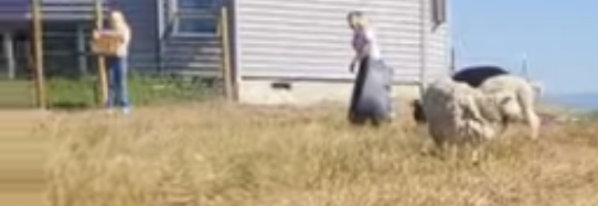3.PNG