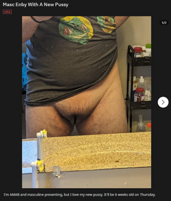 1691056551660.png