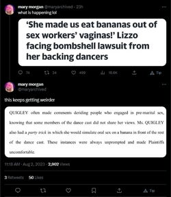 Mary Lizzo.png