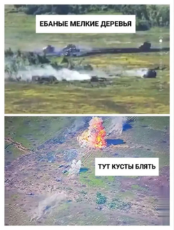 1691073438157.png