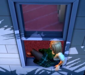 window.jpg