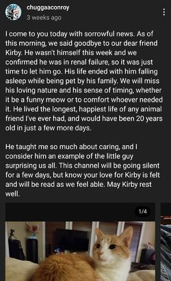 Screenshot_20230804_105037_YouTube.jpg