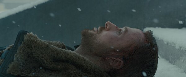ryan snow.jpg