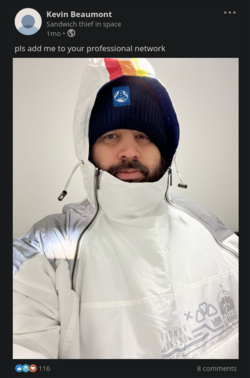 lipost1.png