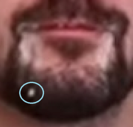1691253390807.png