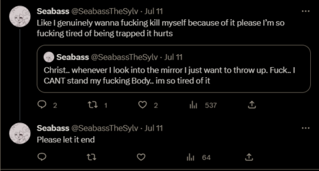 13.png