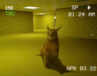 GET HIM OUT OF THERE.jpg