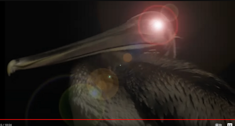 brian1.png