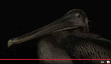 brian2.png