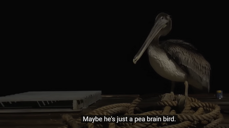 brian3.png