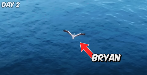 bryan.png