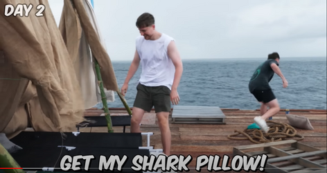sharkpillow.png