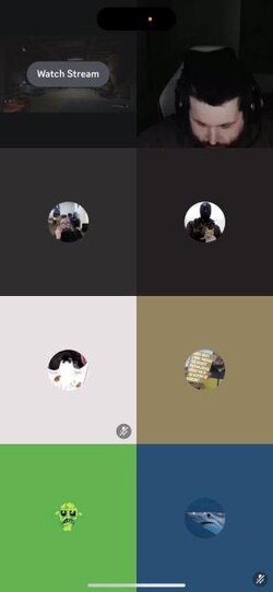 1691327735384.jpeg