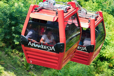 OAK-TENN-ONLY-Anakeesta32.jpg
