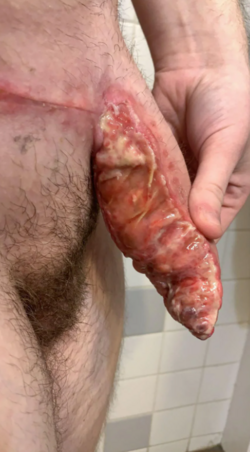 ELEPHANTDick1.png