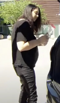 Open keffals-fat-tranny.png