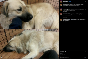 sams-219.png sams-219.png