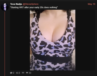 1691367021568.png