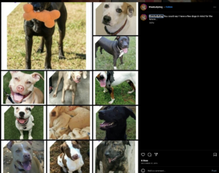 Screenshot 2023-08-06 at 20.16.45.png