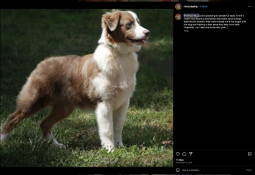 Screenshot 2023-08-06 at 20.16.19.png