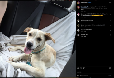 sams-252.png sams-252.png