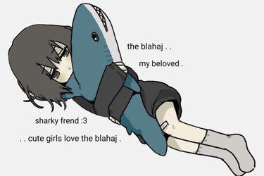 blahaj-comforts-trans-girls-v0-xxu1hbx8n73a1.jpg