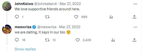 meowriza-finn-comment.png