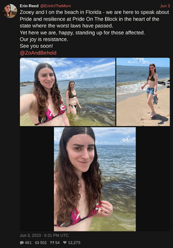 ErinInTheMorn-1665063787051769867-tweet.png