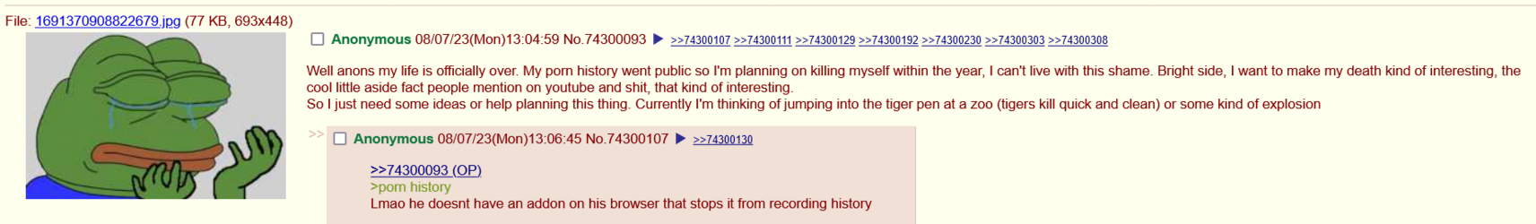 Screenshot 2023-08-07 at 13-35-12 _r9k_ - Well anons my life is officially over. My porn his -...png