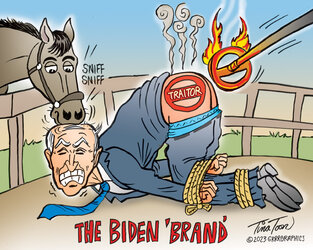 biden_brand-tina-toon-1536x1228.jpg