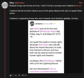Screenshot 2023-08-08 at 13-24-56 Eliza (@elizableu).png